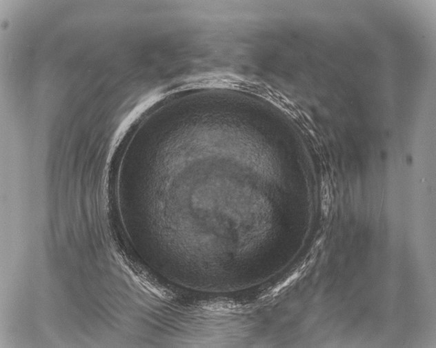 X0000060760200200511141240