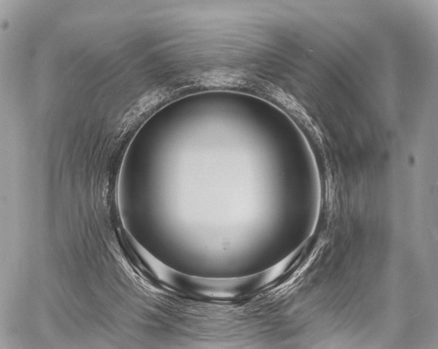 X0000060760201200511141240