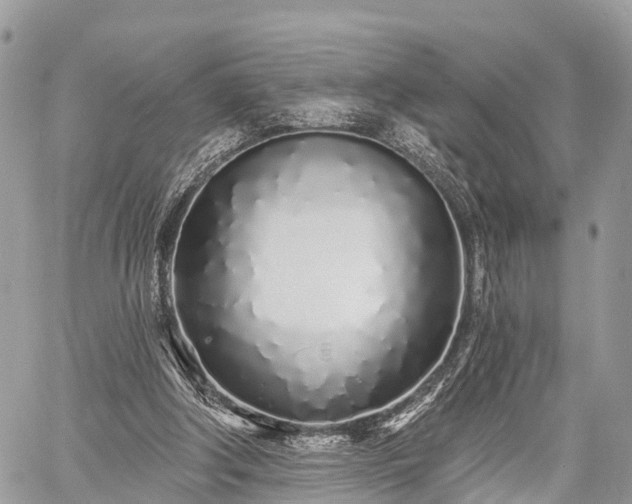 X0000060760202200511141240