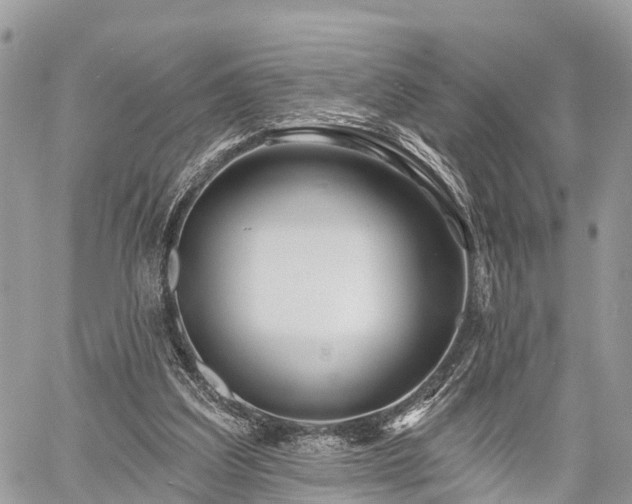 X0000060760203200511141240