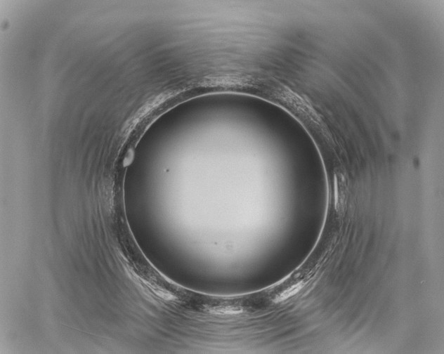 X0000060760204200511141240