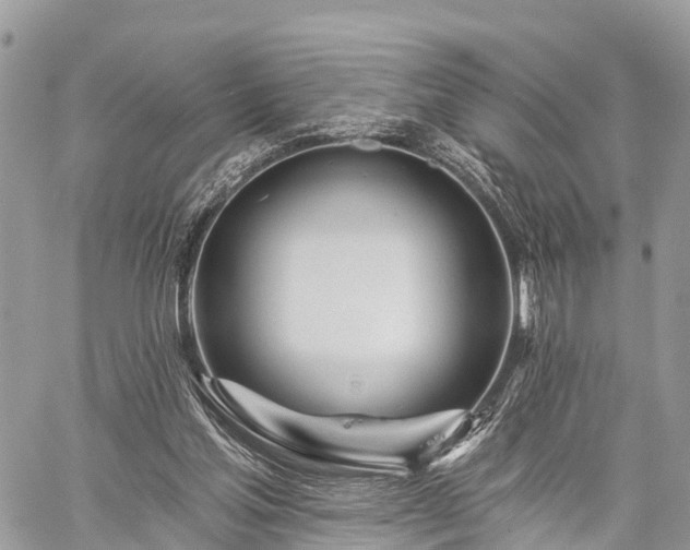 X0000060760205200511141240