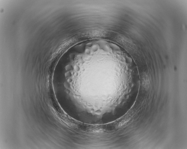 X0000060760206200511141240