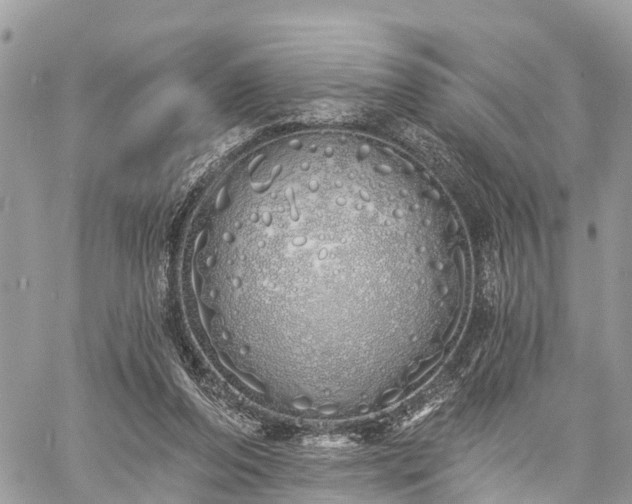 X0000060760208200511141240