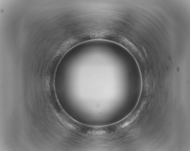 X0000060760209200511141240