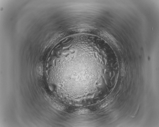 X0000060760210200511141240