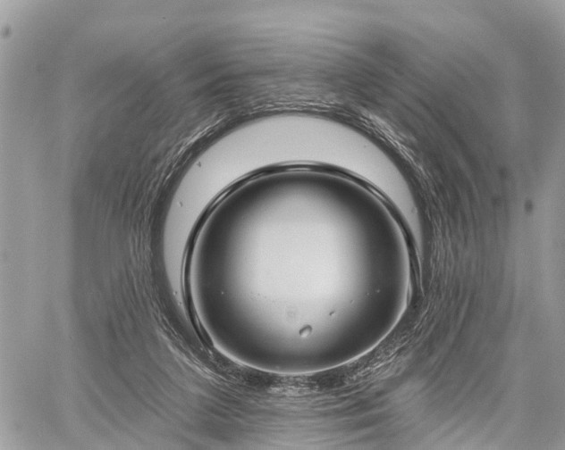 X0000060760211200511141240