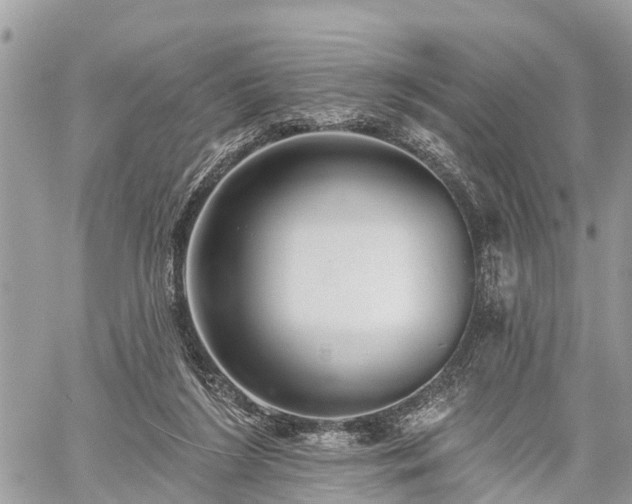 X0000060760212200511141240