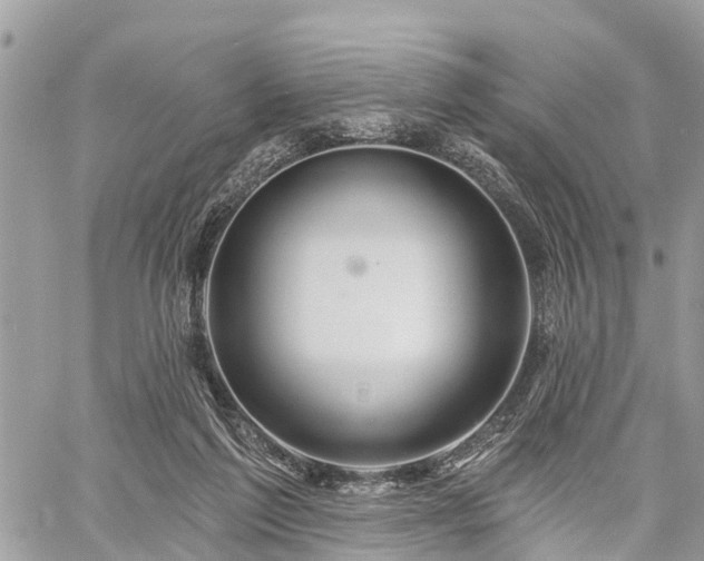 X0000060760213200511141240