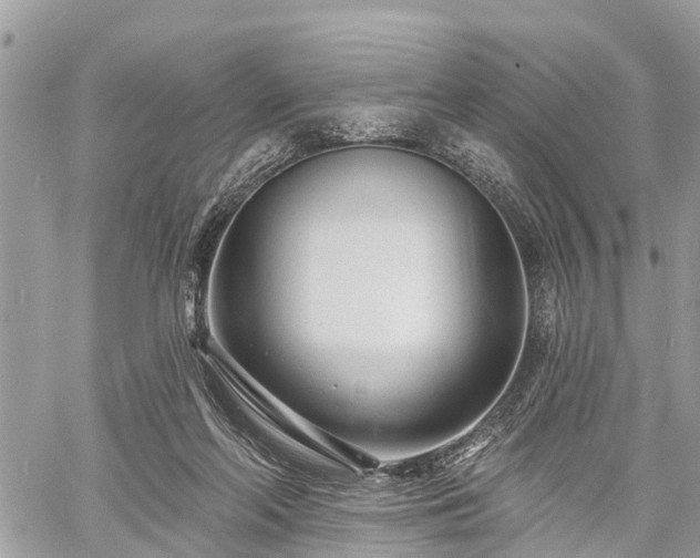 X0000060760214200511141240