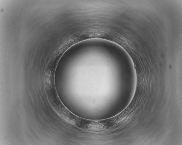 X0000060760215200511141240