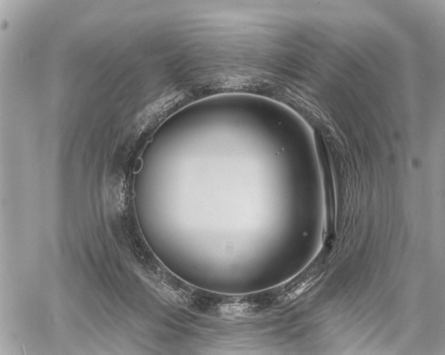 X0000060760216200511141240