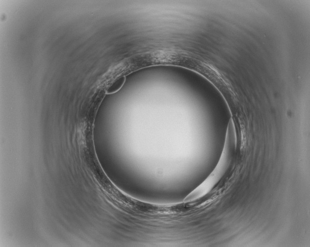 X0000060760217200511141240