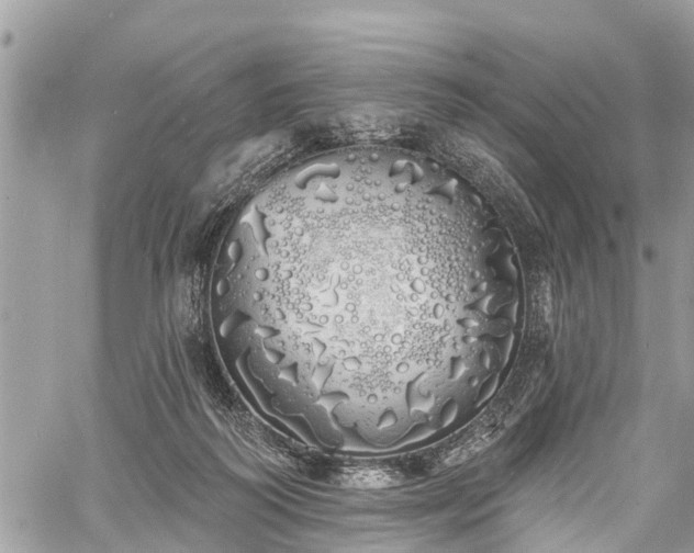 X0000060760218200511141239