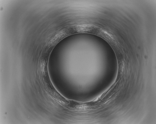 X0000060760219200511141239