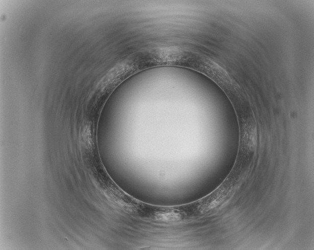 X0000060760220200511141239