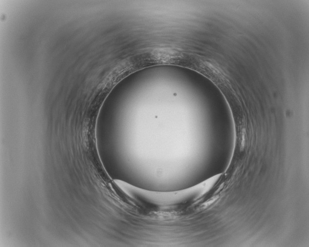 X0000060760221200511141239