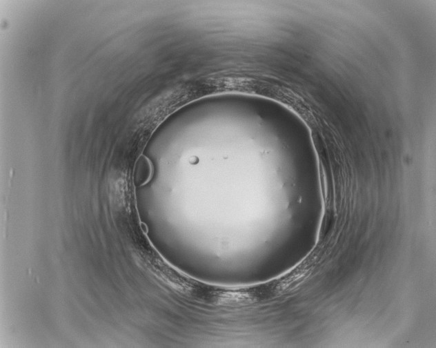 X0000060760222200511141239