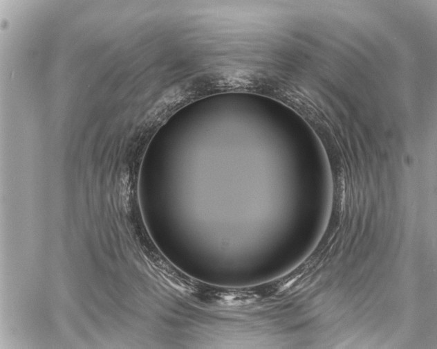 X0000060760223200511141239