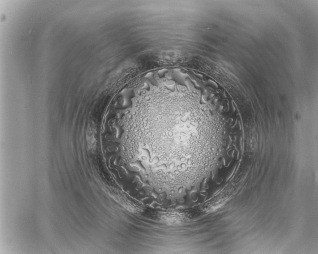 X0000060760226200511141239