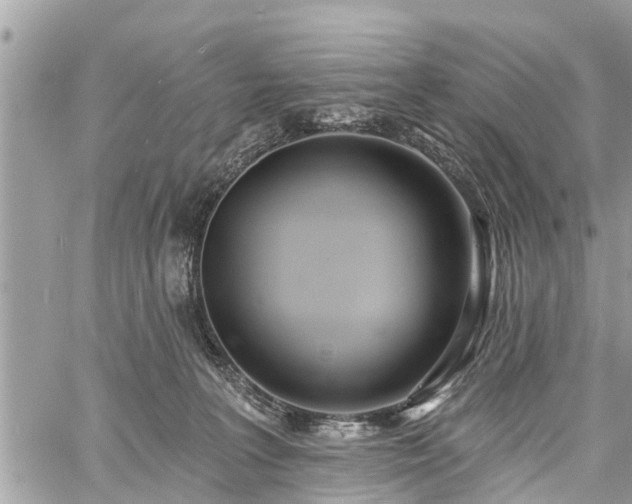 X0000060760227200511141239