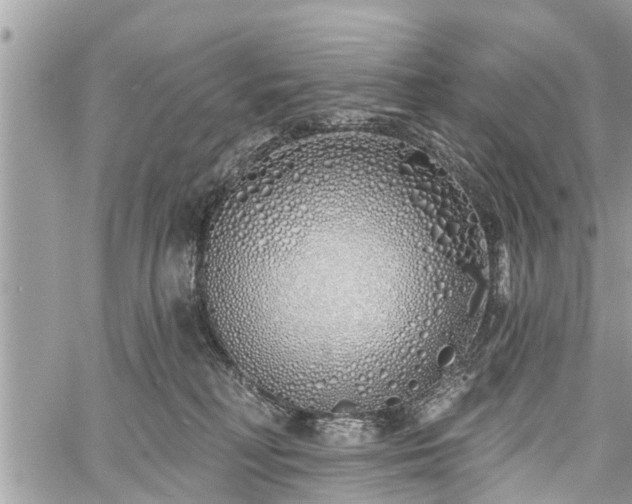 X0000060760230200511141239