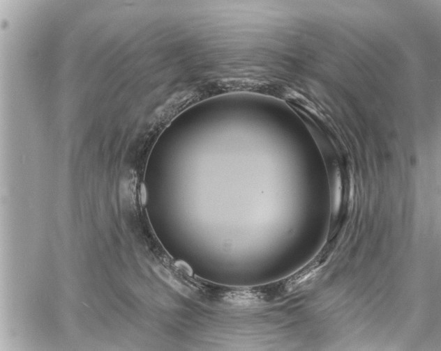 X0000060760231200511141239