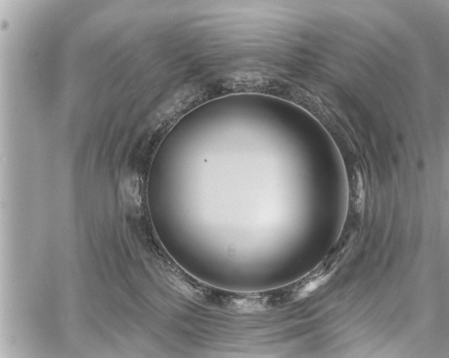 X0000060760232200511141239