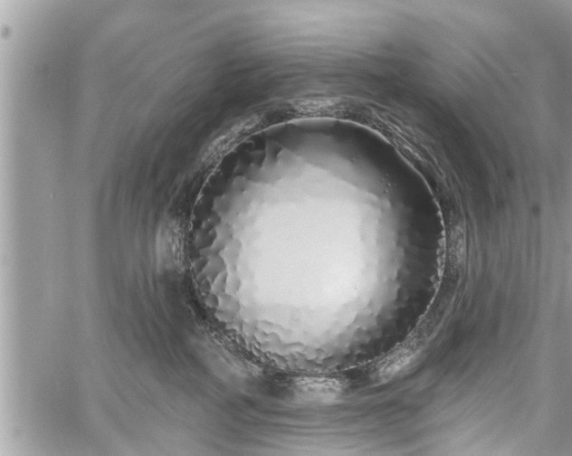 X0000060760234200511141239