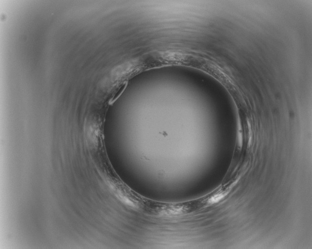 X0000060760235200511141239