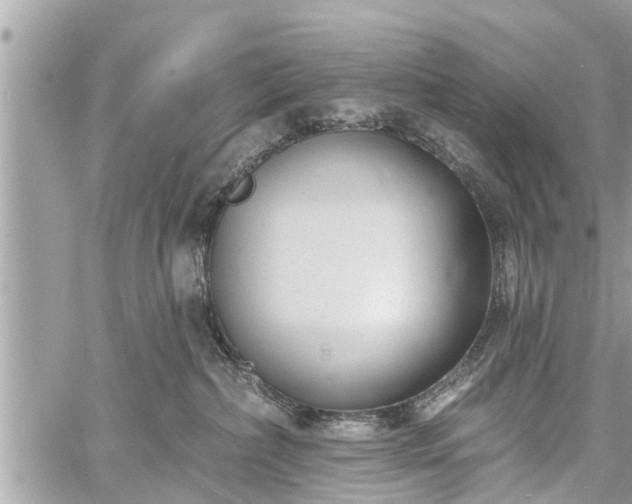 X0000060760236200511141239