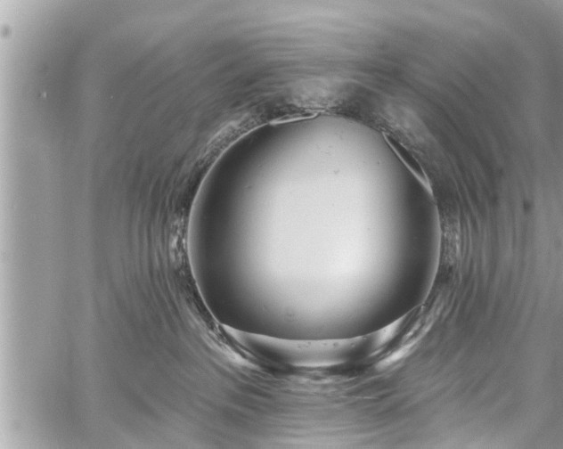 X0000060760237200511141239