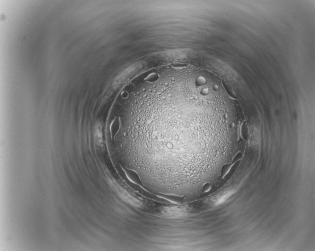 X0000060760238200511141239