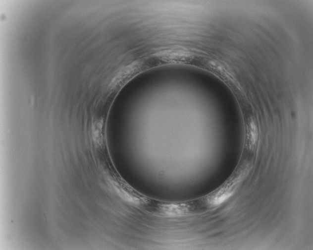 X0000060760239200511141239