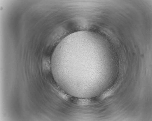 X0000060760240200511141239