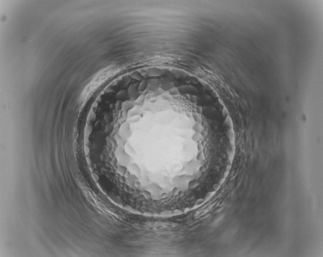 X0000060760242200511141238