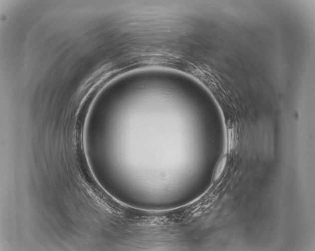 X0000060760243200511141238