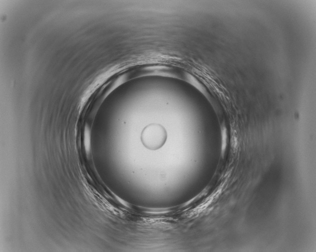 X0000060760244200511141238