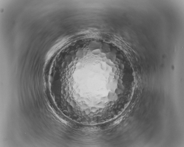 X0000060760245200511141238