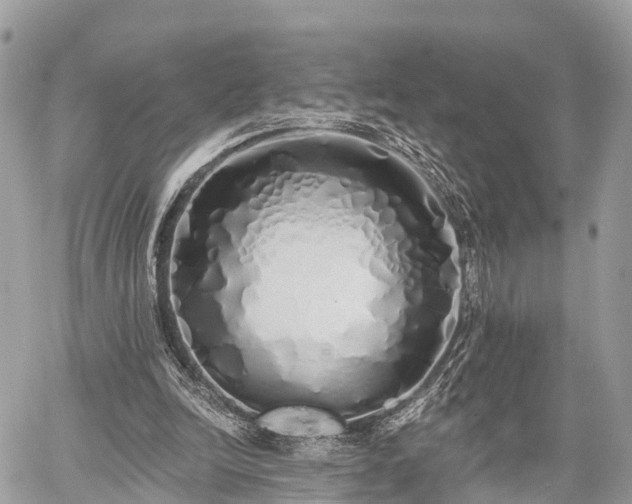 X0000060760246200511141238