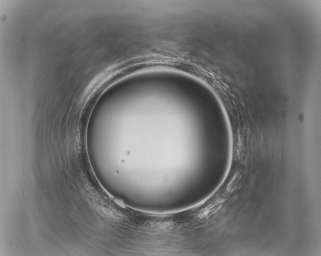 X0000060760247200511141238