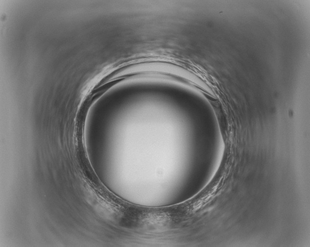 X0000060760248200511141238