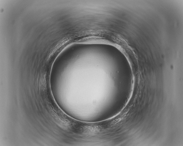 X0000060760250200511141238