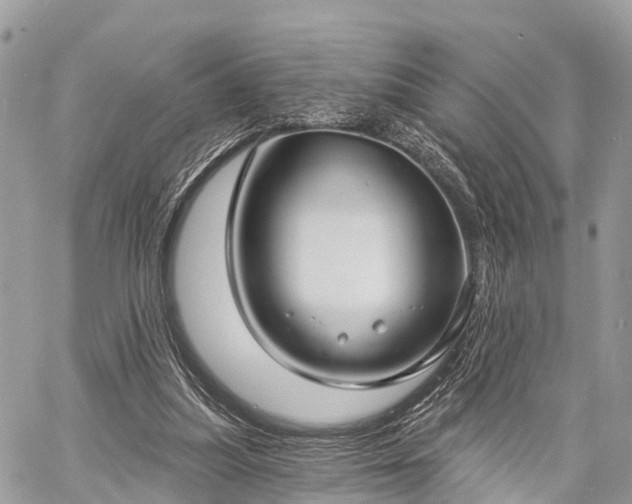 X0000060760251200511141238