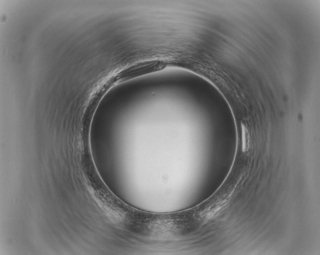 X0000060760252200511141238