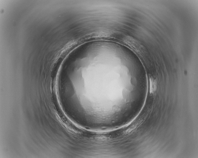 X0000060760253200511141238