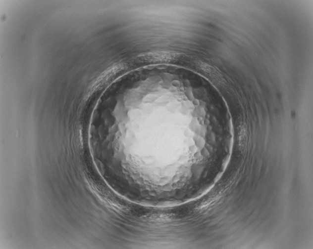 X0000060760254200511141239