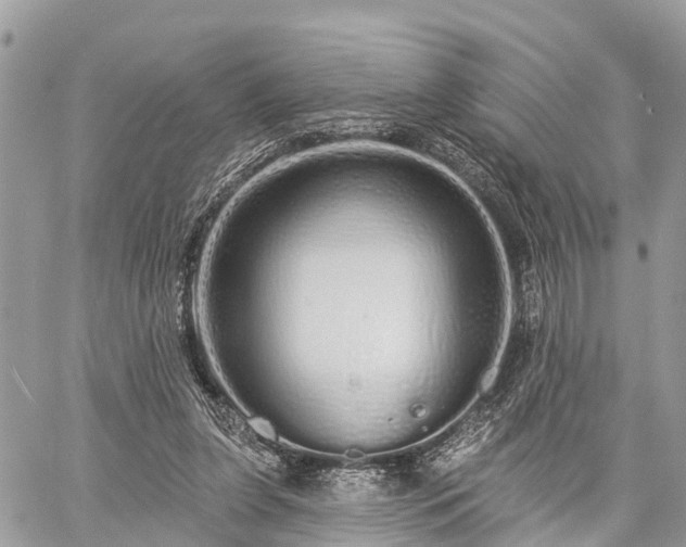 X0000060760255200511141239