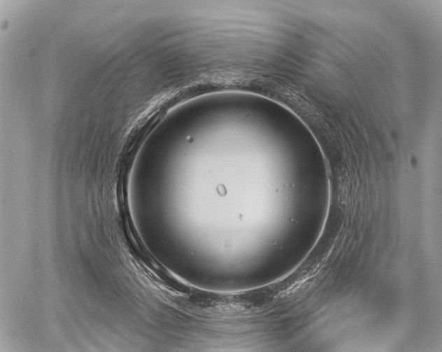 X0000060760256200511141239