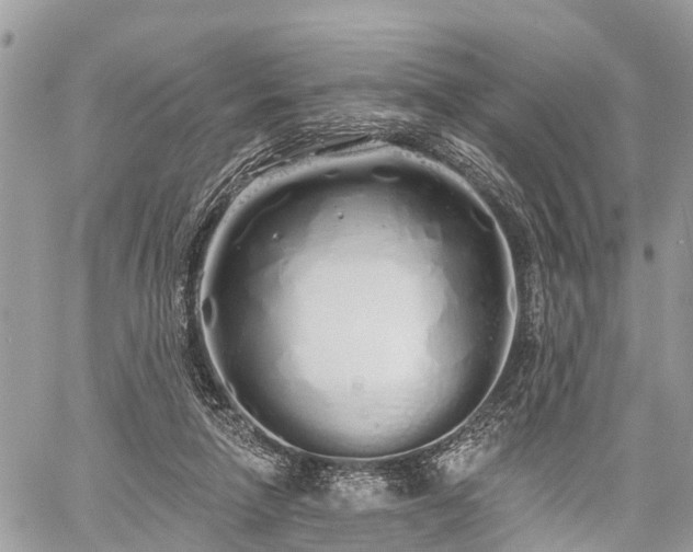 X0000060760258200511141239